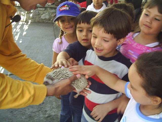 Interaccion con animales